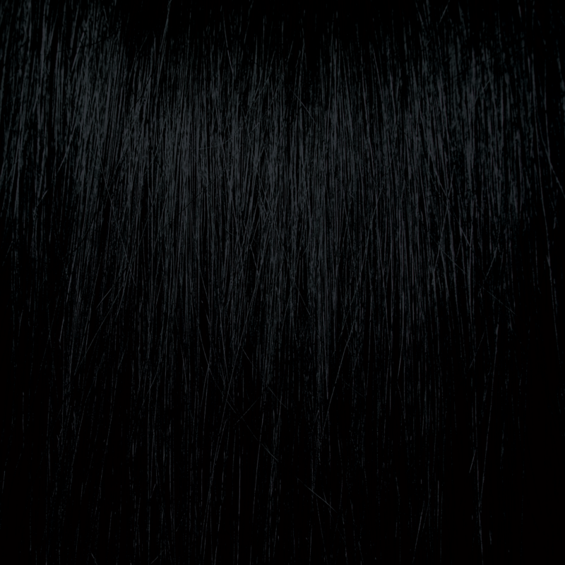 Pravana ChromaSilk Permanent Creme Hair Color 1 N 3 oz