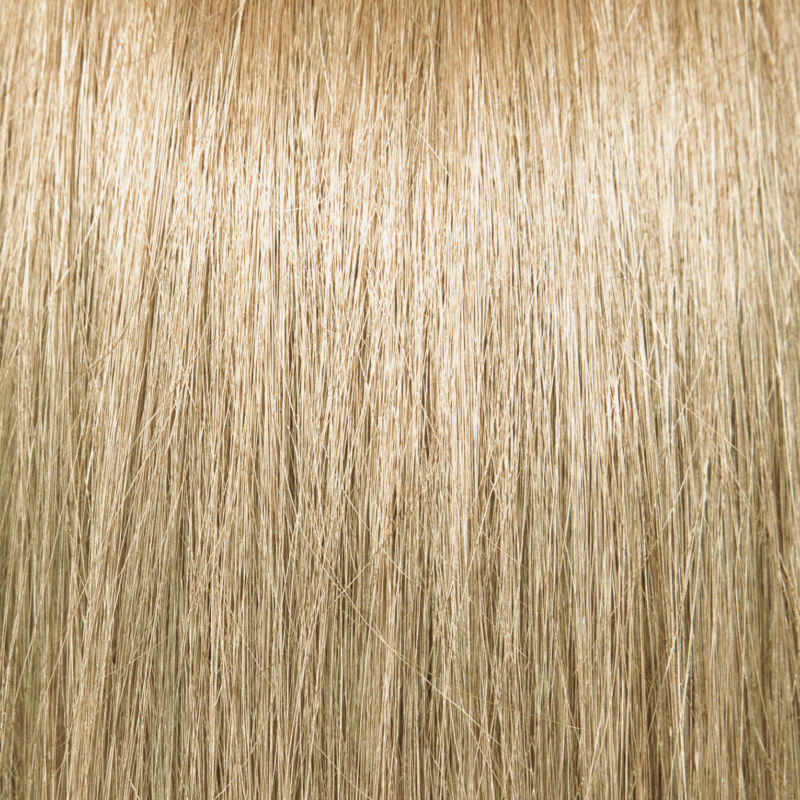 Pravana ChromaSilk Permanent Creme Hair Color 10 N 3 oz