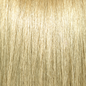 Pravana ChromaSilk Permanent Creme Hair Color 10.03 3 oz