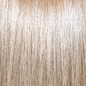 Pravana ChromaSilk Permanent Creme Hair Color 10.13 3 oz