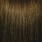 Pravana ChromaSilk Permanent Creme Hair Color 7.31 3 oz