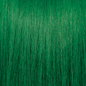 Pravana ChromaSilk VIVIDS Semi-Permanent Hair Color Emerald 3 oz