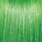 Pravana ChromaSilk VIVIDS Neons Semi-Permanent Hair Color Green 3 oz