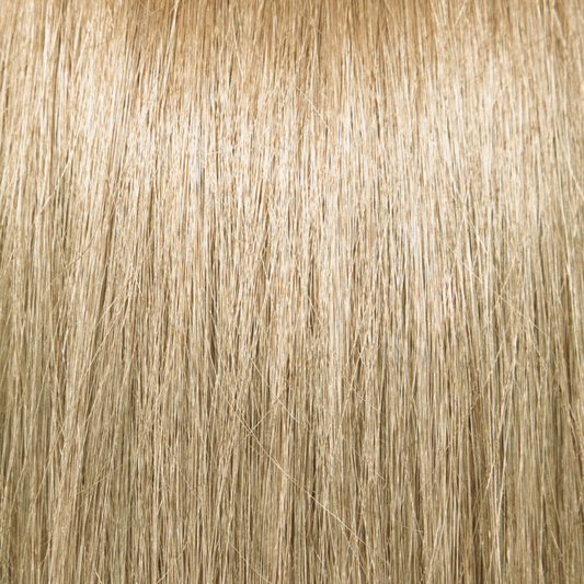 Pravana ChromaSilk Permanent Creme Hair Color 10 N 3 oz