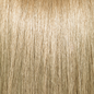 Pravana ChromaSilk Permanent Creme Hair Color 10 N 3 oz