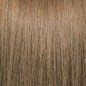 Pravana ChromaSilk Permanent Creme Hair Color 8 N 3 oz